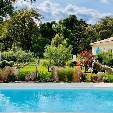 Mini Villa Pascal Paoli Avec Piscine - Proche Mer Prunelli-di-Fiumorbo Kültér fotó