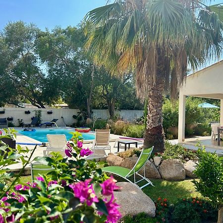 Mini Villa Pascal Paoli Avec Piscine - Proche Mer Prunelli-di-Fiumorbo Kültér fotó