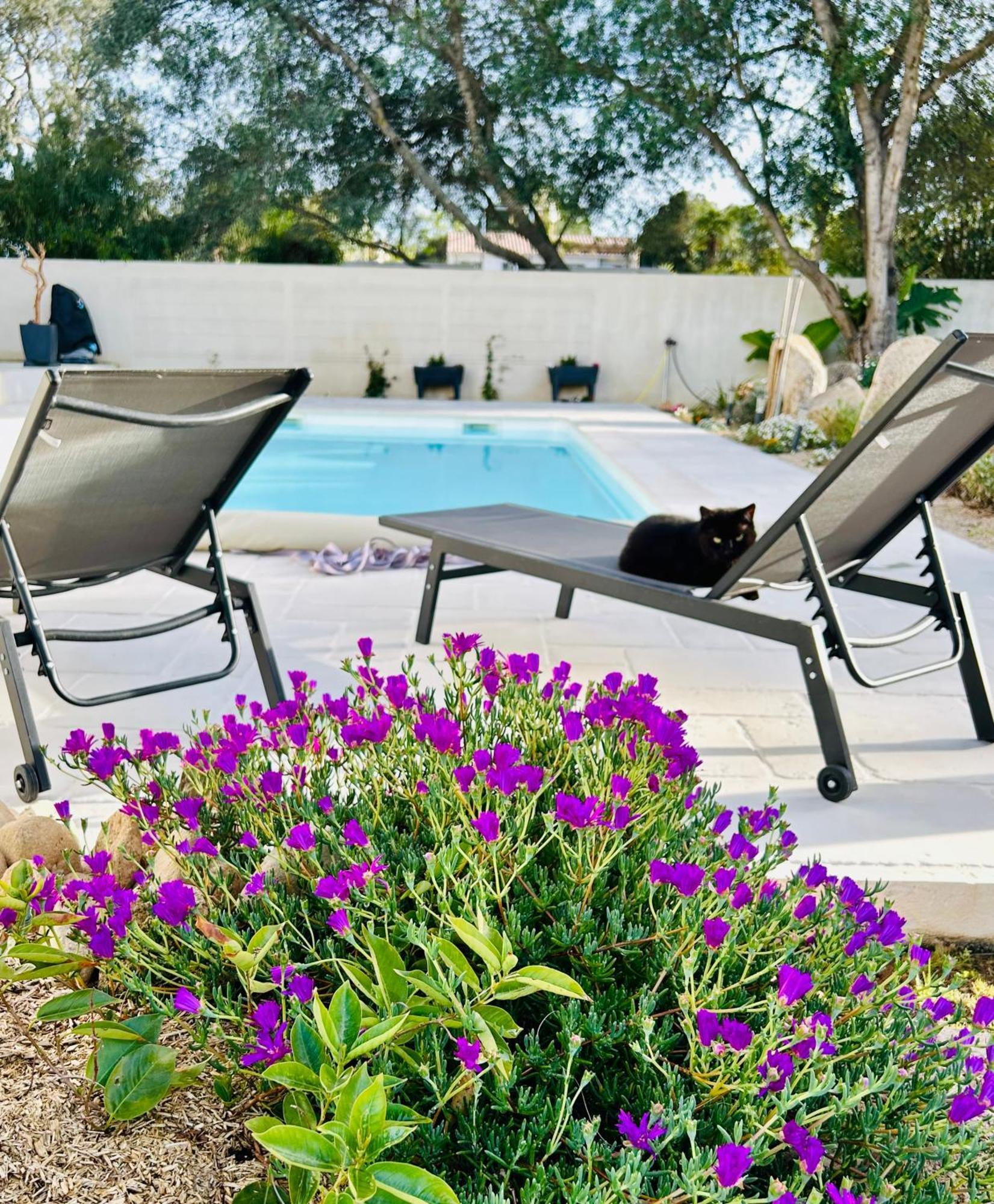 Mini Villa Pascal Paoli Avec Piscine - Proche Mer Prunelli-di-Fiumorbo Kültér fotó