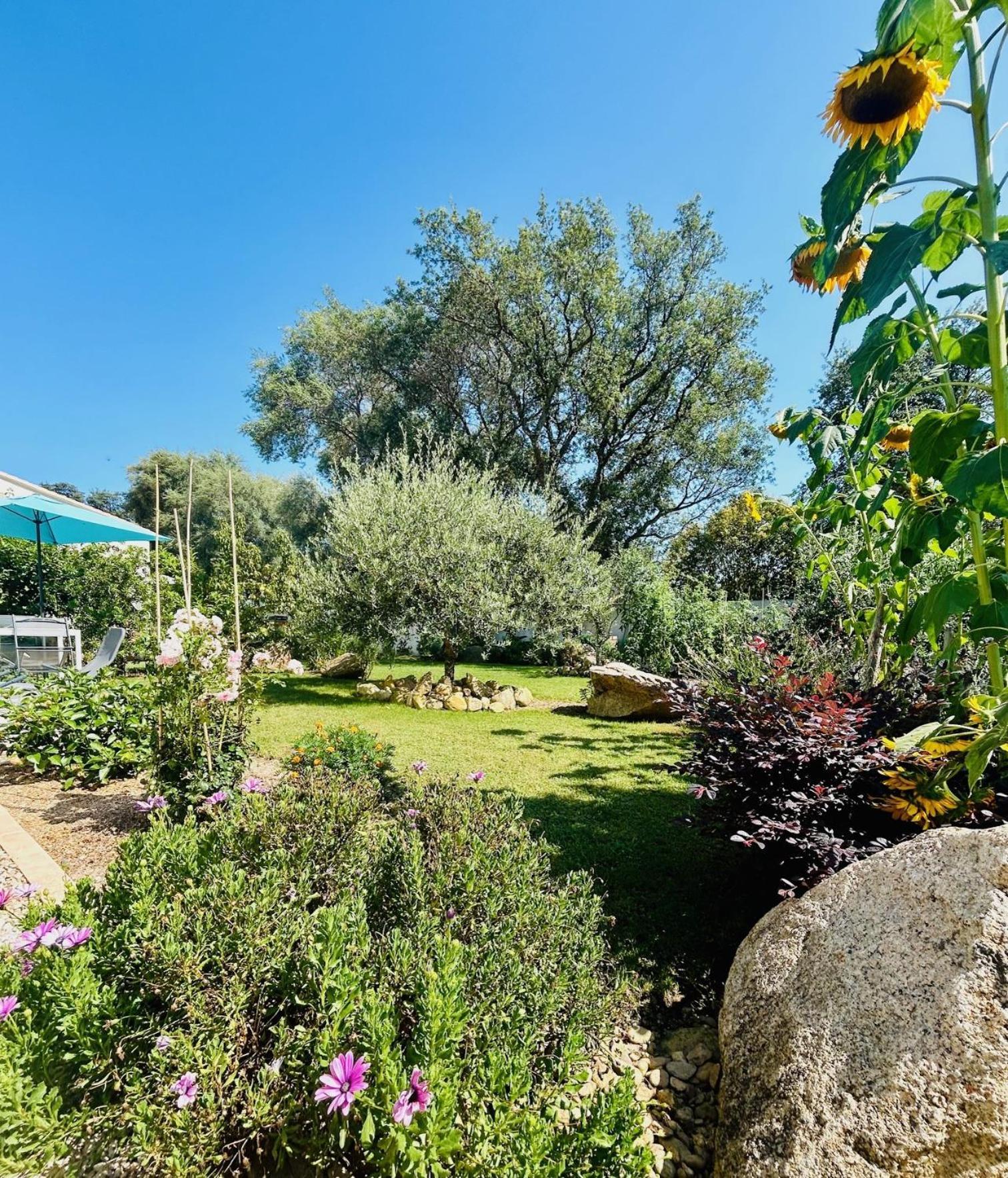 Mini Villa Pascal Paoli Avec Piscine - Proche Mer Prunelli-di-Fiumorbo Kültér fotó